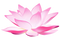 Lotus Flower PNG Clipart