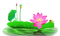 Lotus Flower PNG Pic