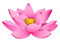 Lotus PNG