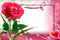 Love Frame PNG Pic