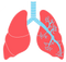 Lungs Free Download PNG