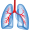 Lungs PNG File