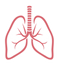 Lungs PNG Picture