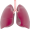 Lungs PNG