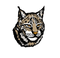 Lynx PNG Image