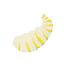 Maggot PNG Download Image