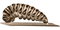 Maggot PNG Picture