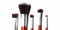 Makeup Brush PNG Pic