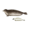 Mammal Transparent