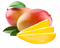 Mango PNG Picture