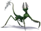 Mantis PNG Clipart