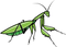 Mantis PNG File Download Free