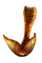 Mermaid Tail PNG HD