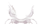 Milk Splash PNG Pic