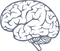 Mind Download PNG