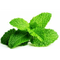 Mint PNG File Download Free