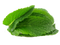 Mint PNG Image File