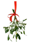 Mistletoe PNG Clipart