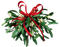 Mistletoe PNG File Download Free