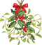 Mistletoe PNG File