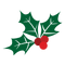 Mistletoe PNG Free Image