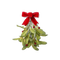 Mistletoe PNG High Quality Image