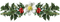 Mistletoe PNG Images