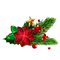 Mistletoe PNG Pic