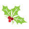 Mistletoe PNG Picture