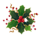 Mistletoe Transparent