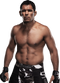 Mixed Martial Arts PNG Download Image