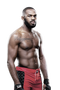 Mixed Martial Arts PNG Free Download