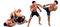 Mixed Martial Arts PNG Pic