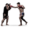 MMA Fight PNG File