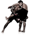 MMA Fight PNG Free Image