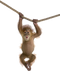 Monkey Free Download PNG