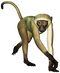 Monkey Free PNG Image