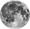 Moon Vector PNG