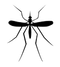 Mosquito Download PNG