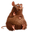 Mouse Animal PNG Image