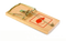 Mousetrap PNG Image File