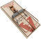 Mousetrap PNG Photo