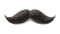 Moustache PNG Image