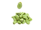 Mung Bean PNG