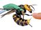 Murder Hornet PNG Image File