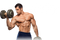 Muscle PNG File Download Free