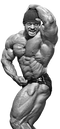 Muscle PNG Image