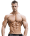 Muscle Transparent