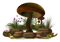 Mushroom PNG Clipart