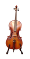 Musical Instrument Cello